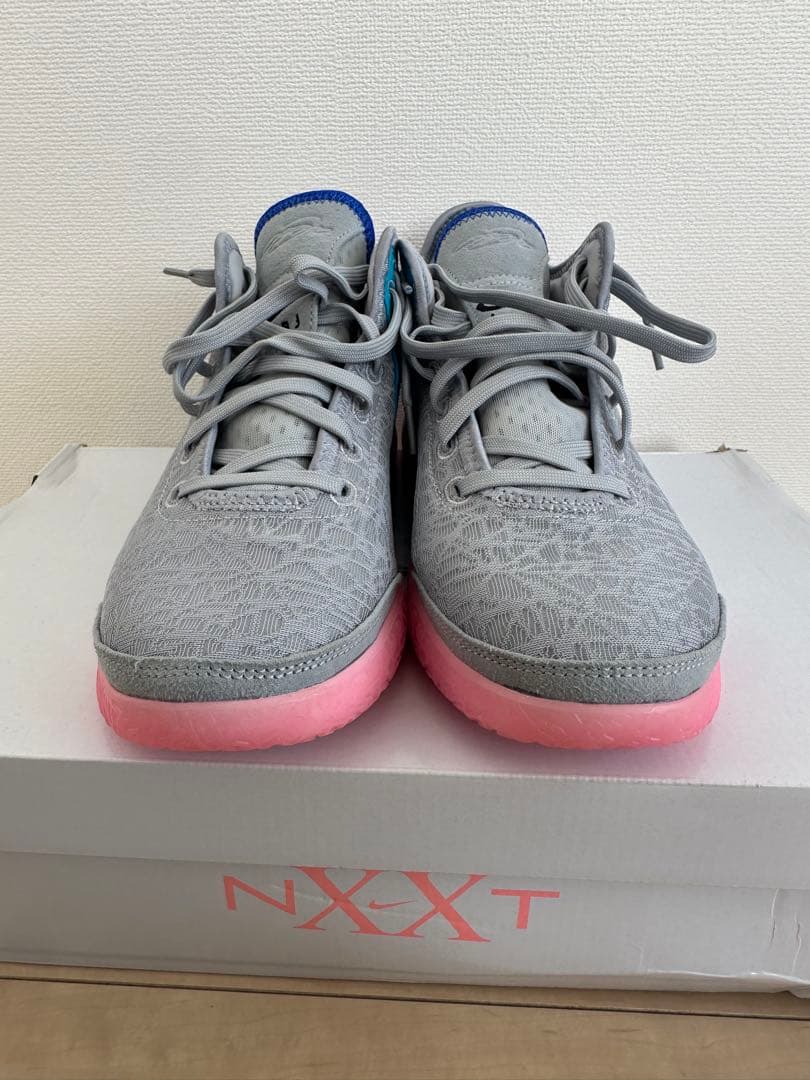 ZOOM LEBRON NXXT GEN ズームレブロンネクストジェネレーション