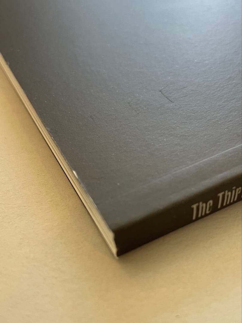 SEVENTEEN ウジ The Thirteen Tapes TTT