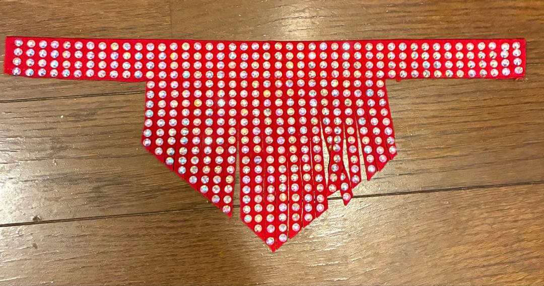 ベリーダンス衣装 / Mサイズ / 赤 / ブラ・スカート・チョーカー3点セット