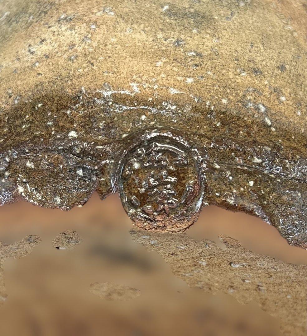 【中古品】茶道具　十三代田原陶兵衛造　萩焼　擂座花入（共箱）