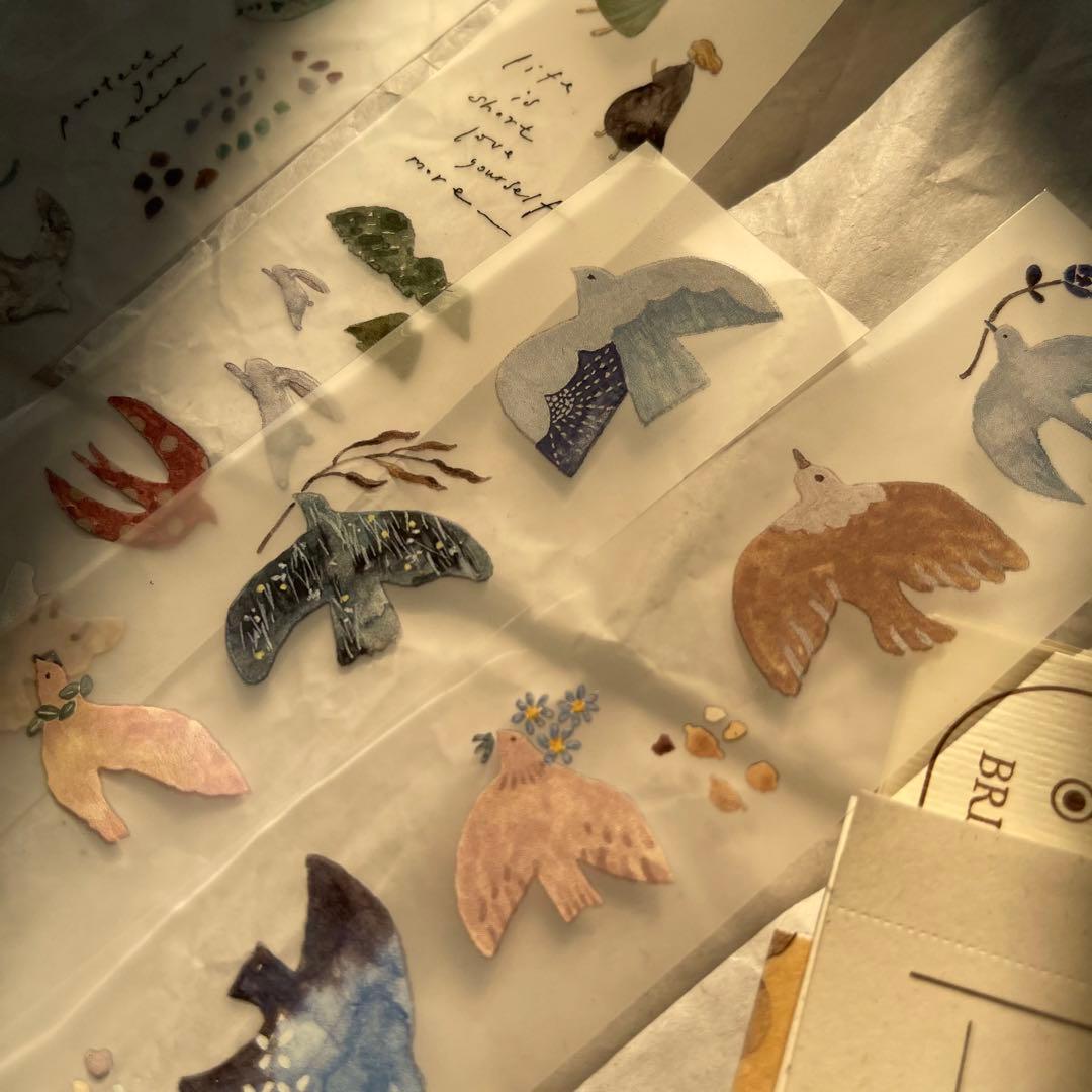 pion《Bird 》 PET　海外マスキングテープ 【1189】