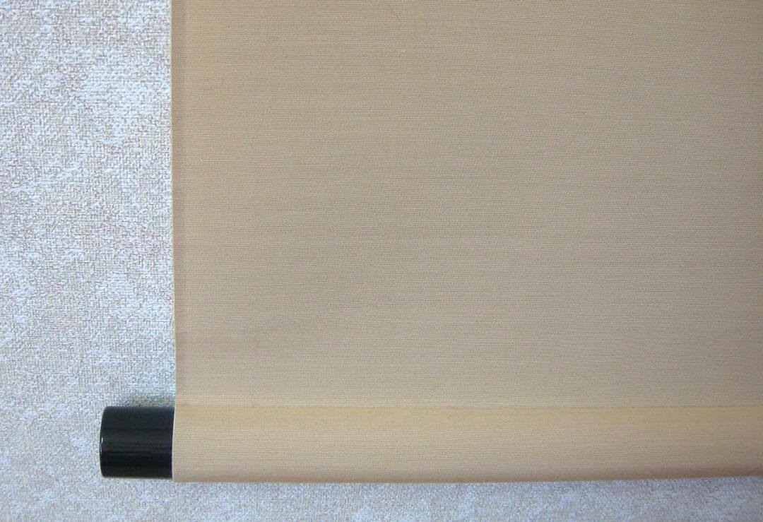 こ*り様 【真筆】掛け軸 掛軸　翡翠(かわせみ)◆柳沢寿江　太巻仕様・共箱・タト