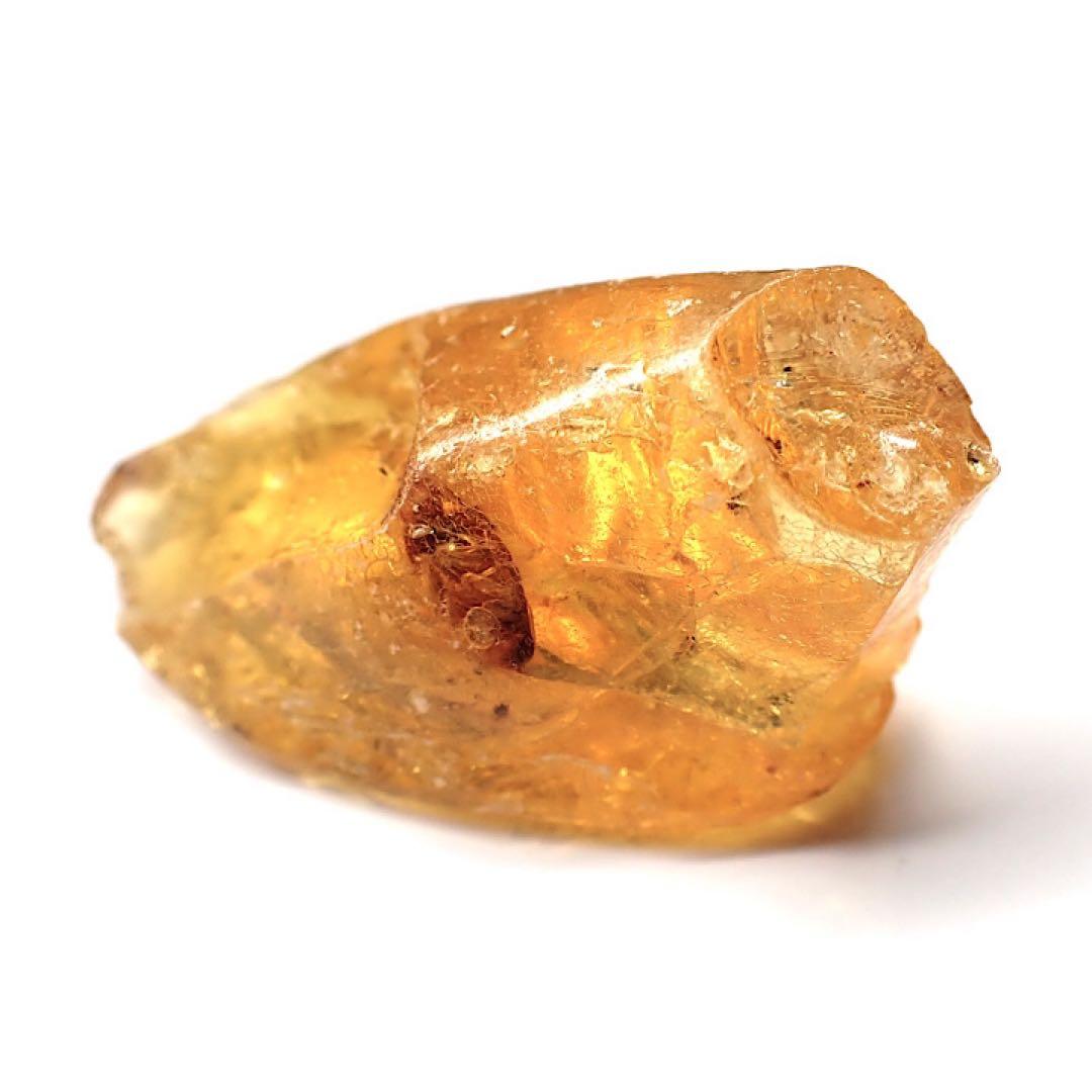 【オーストラリア産】ゴキブリ入り！天然琥珀(アンバー)