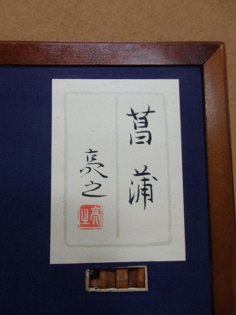 長井亮之『菖蒲』額装12号大作 金泥仕様 共シール付き 師：小林古径