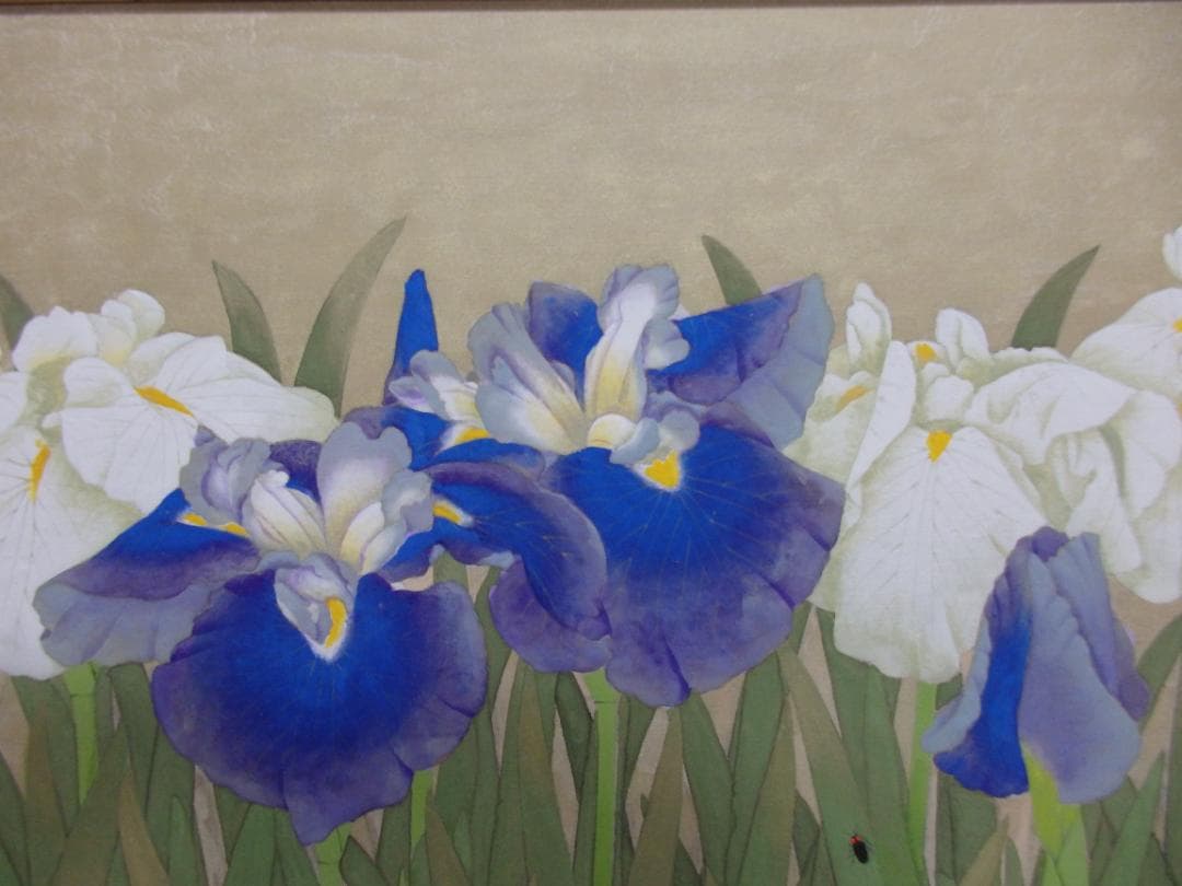 長井亮之『菖蒲』額装12号大作 金泥仕様 共シール付き 師：小林古径