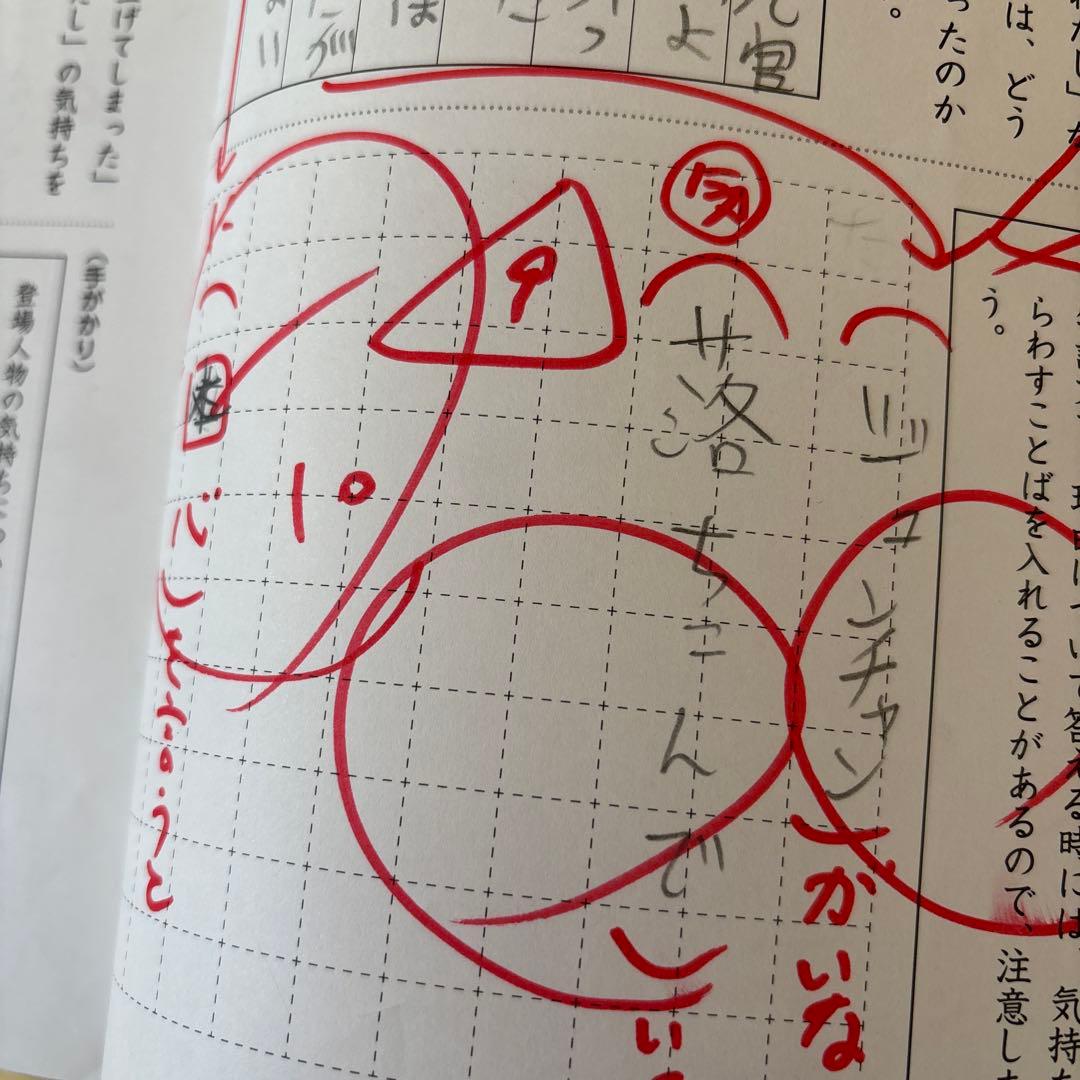 SAPIX小学4年　国語デイリーサピックス春期夏期冬期講習セット