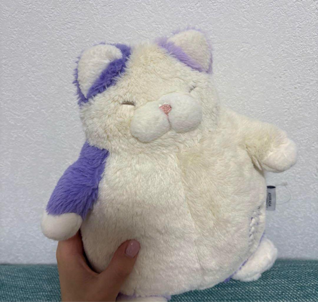 足利フラワーパー猫肯定感　猫ぬいぐるみ