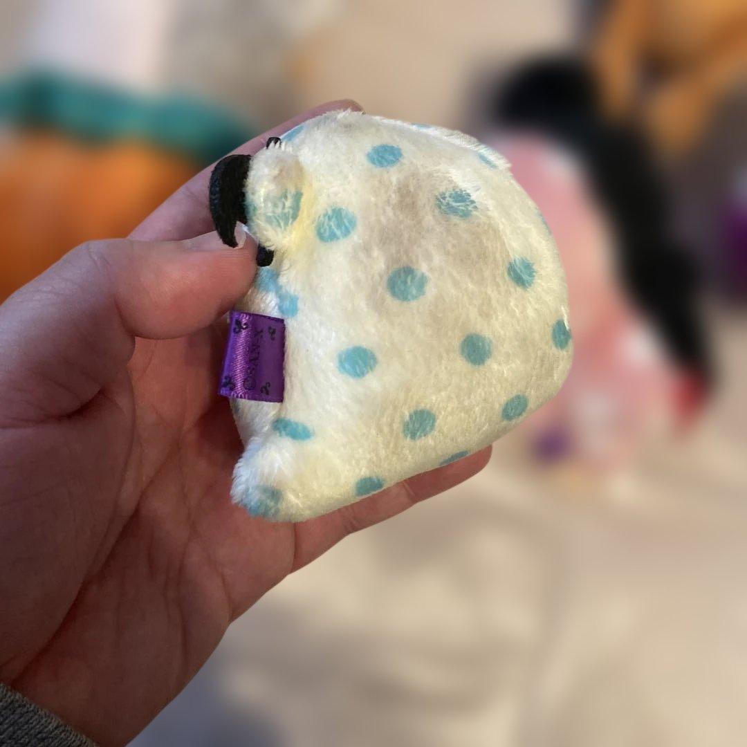 2017年　センチメンタルサーカス　スペシャルハロウィンセット