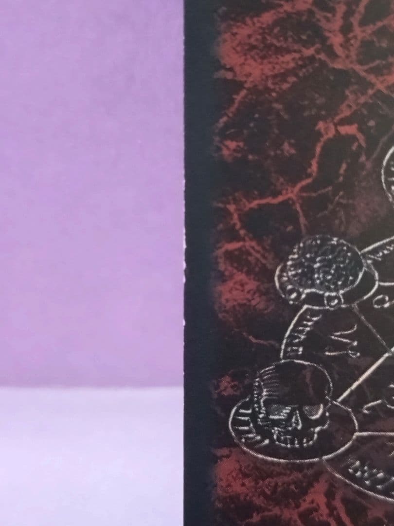 ベルセルク 「パラレル」 トレーディングカード 「スラン」 41/64