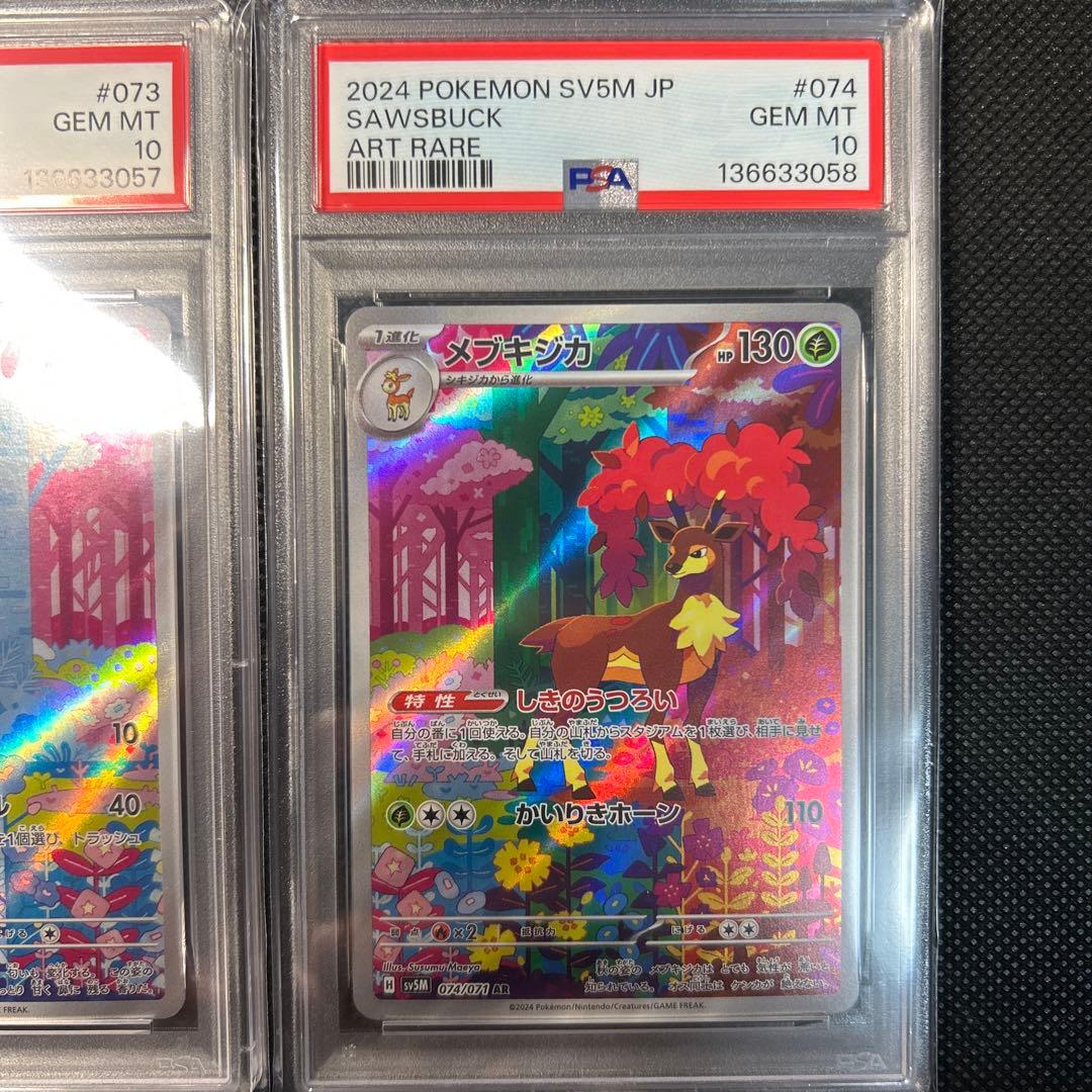 シキジカ　メブキジカ　AR PSA10 連番
