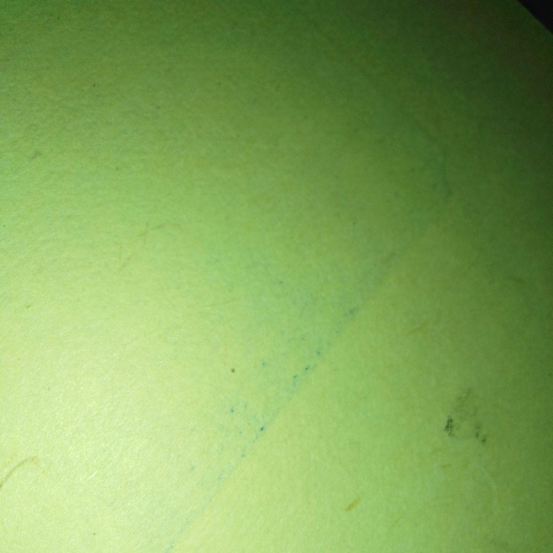 TNF International Pictorial　国際画報　浮世絵　木版画