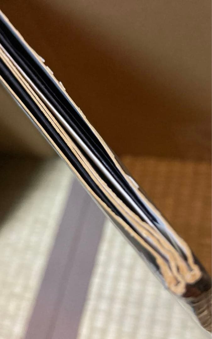 レア Buena Vista Social Club Carnegie Hall