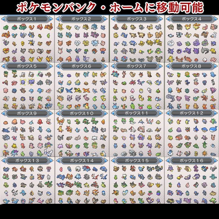 ポケットモンスター　ウルトラムーン　【ウルトラサンムーン】ポケモン　3DS　16