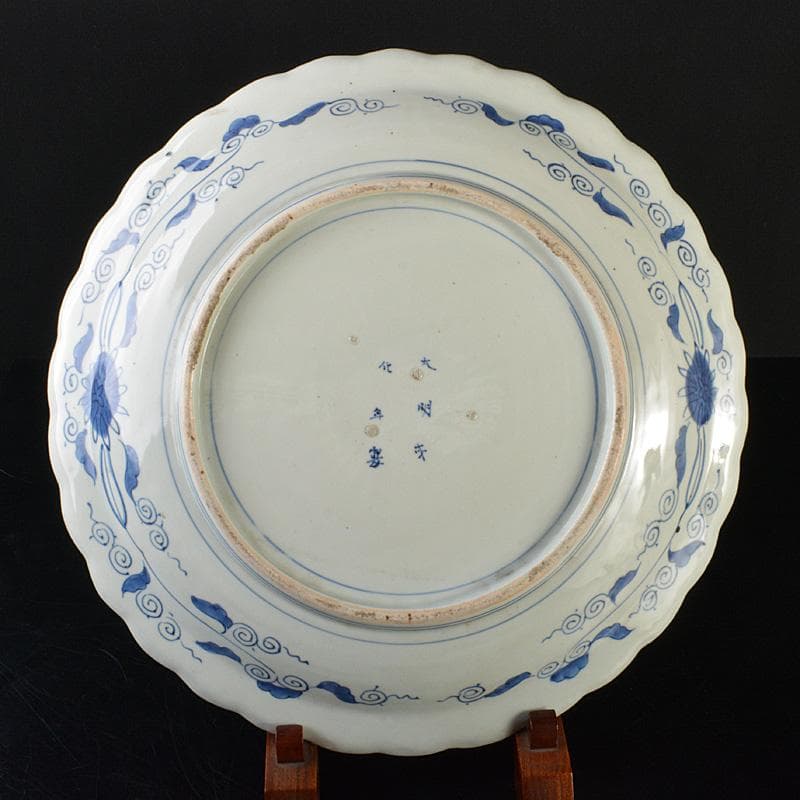 伊万里焼　古伊万里　大明成化年製銘　染付　花文　輪花皿　大皿　C　R7324F