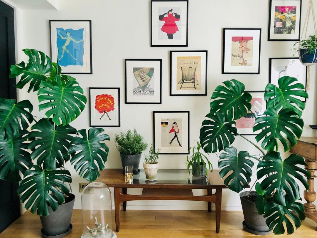 ルネグリュオ　ヴィンテージポスター1960's(M size)