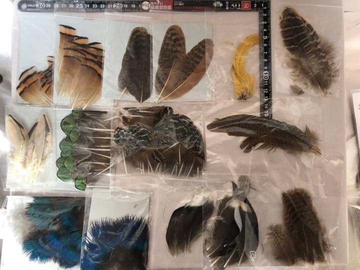 『匿名配送』フライフィッシングマテリアル大量ツール(ケース付)