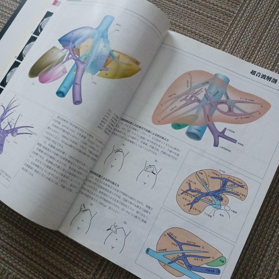 腹部超音波テキスト : 上・下腹部　腹部エコー　参考書　ベクトル・コア
