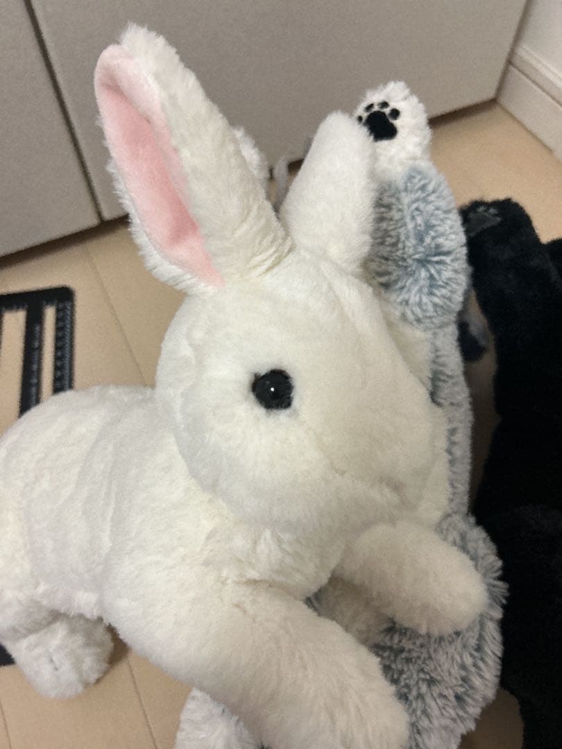 ひざウサギ ひざオオカミ ひざネコ サンレモン ぬいぐるみセット