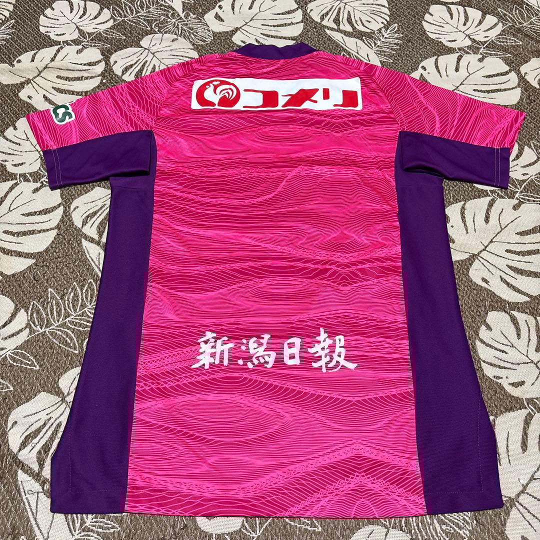 adidas(アディダス)Jリーグ　アルビレックス新潟2021 GKユニ　3rd