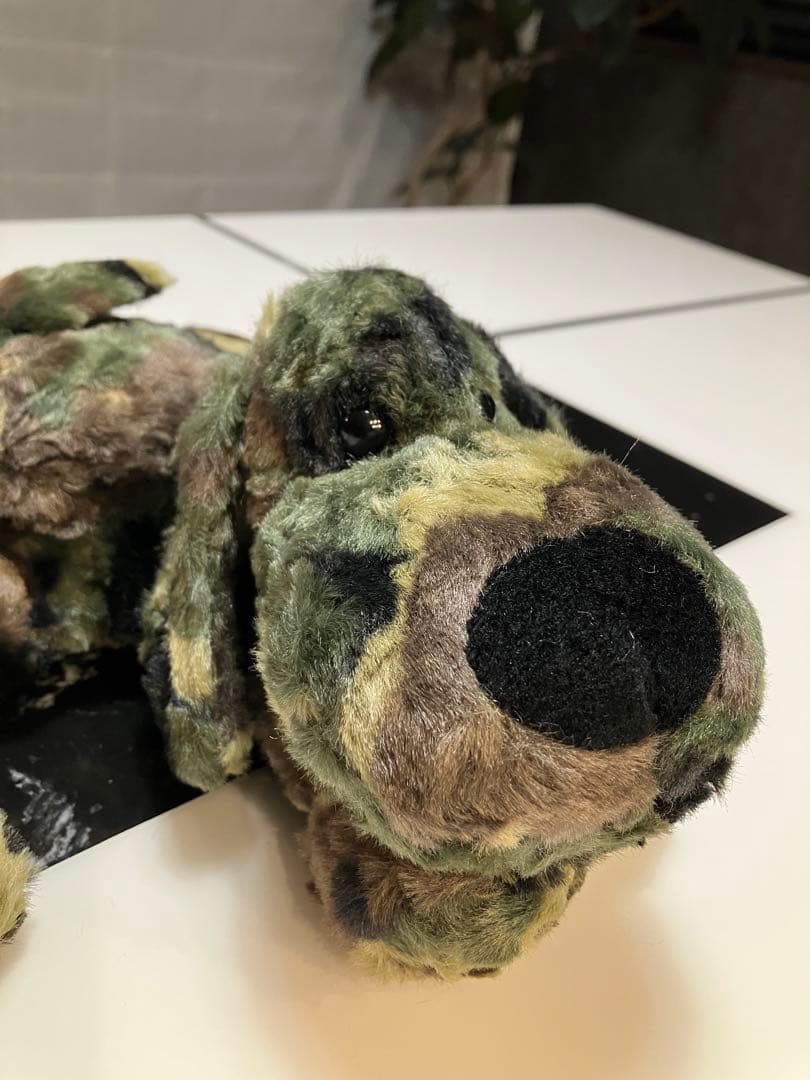 ★★ SONGです★★ 子犬のるーくL　カモフラフィールド