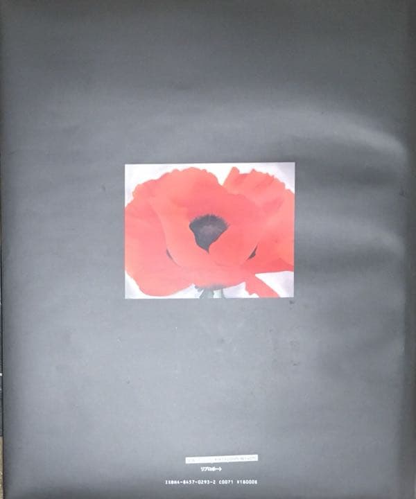 ジョージア・オキーフ画集