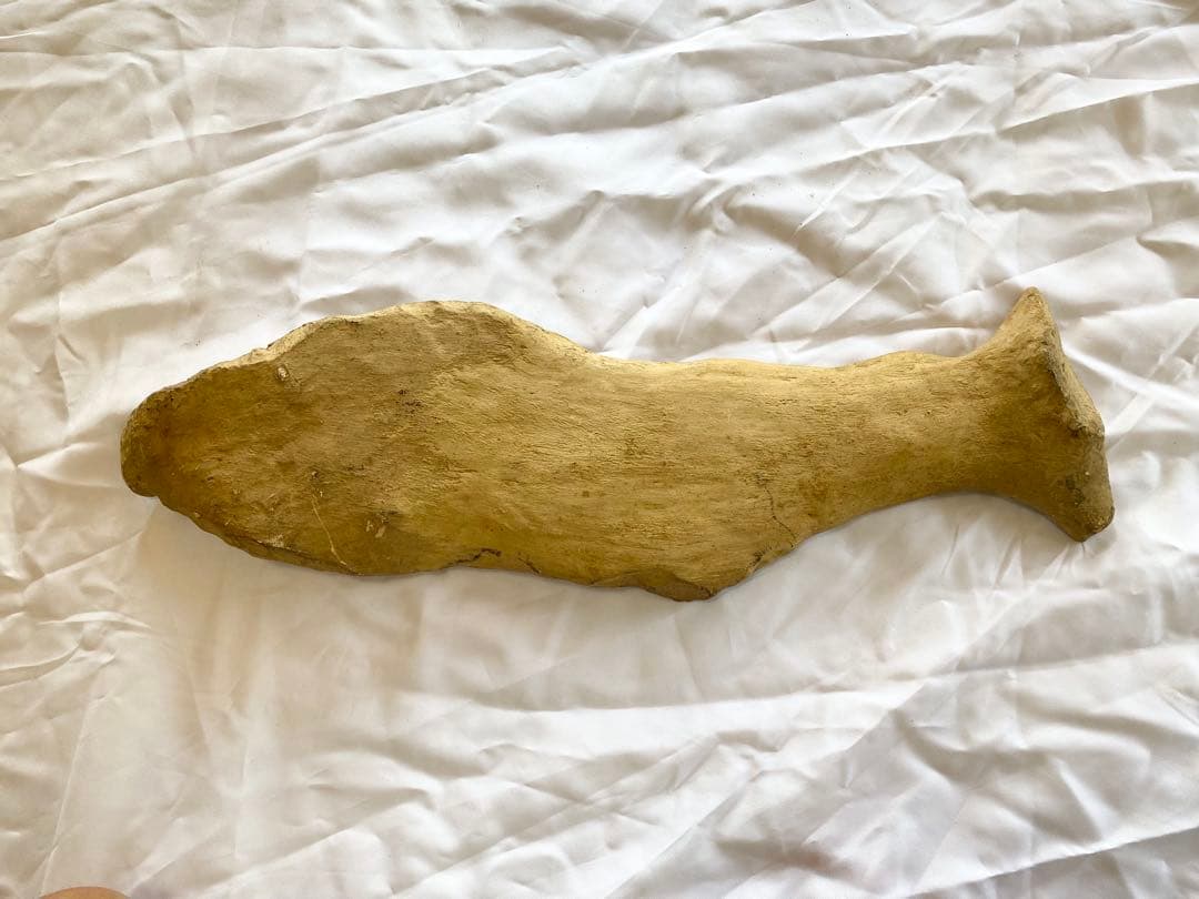 ブラジル産　魚の化石　重さ6.1kg 長さ64.2cm 幅17.5cm ③