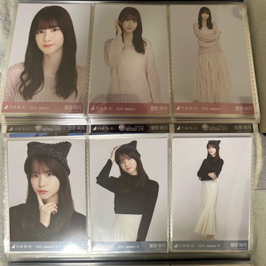 乃木坂46 菅原咲月 2025年月間ランダム 生写真 コンプ 19種 まとめ売り