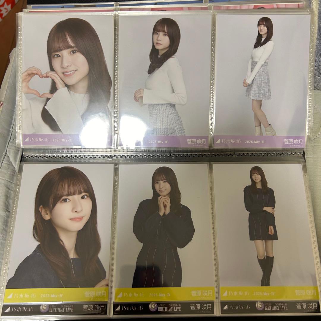 乃木坂46 菅原咲月 2025年月間ランダム 生写真 コンプ 19種 まとめ売り