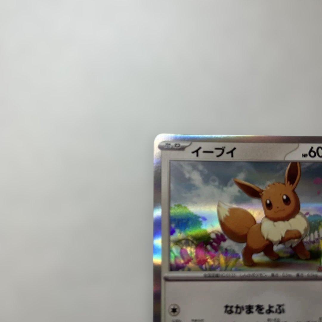 イーブイ：ポケモンカードゲーム教室 PROMO SV-Pプロモカード