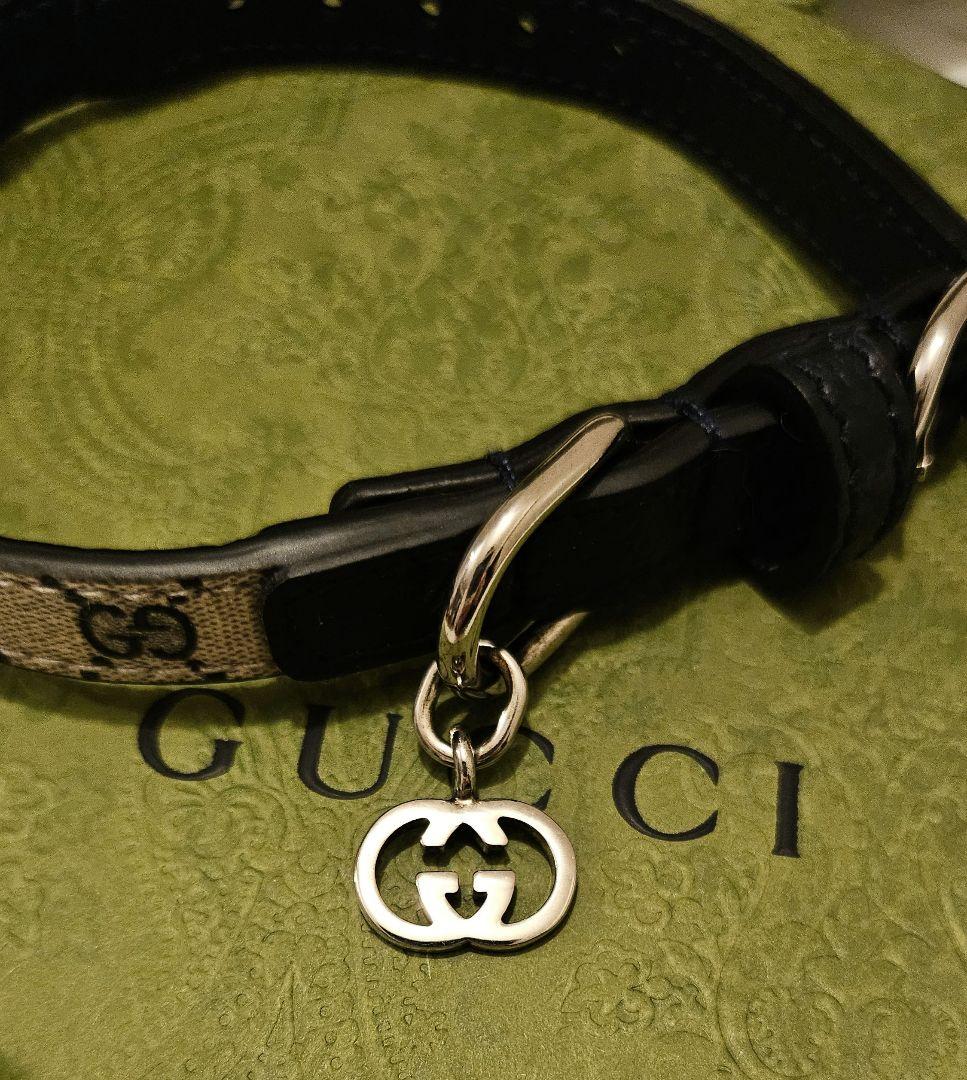 【未使用】GUCCI ワンちゃん 猫ちゃん用 首輪(カラー) XXS