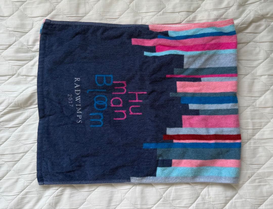 RADWIMPS Tシャツ タオル グッズ まとめ売り