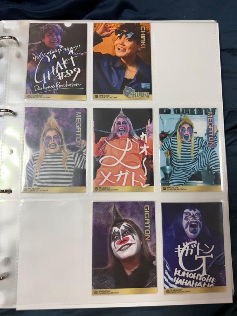 女子プロレス　マリーゴールド　プロレスカード　72種　トレカ