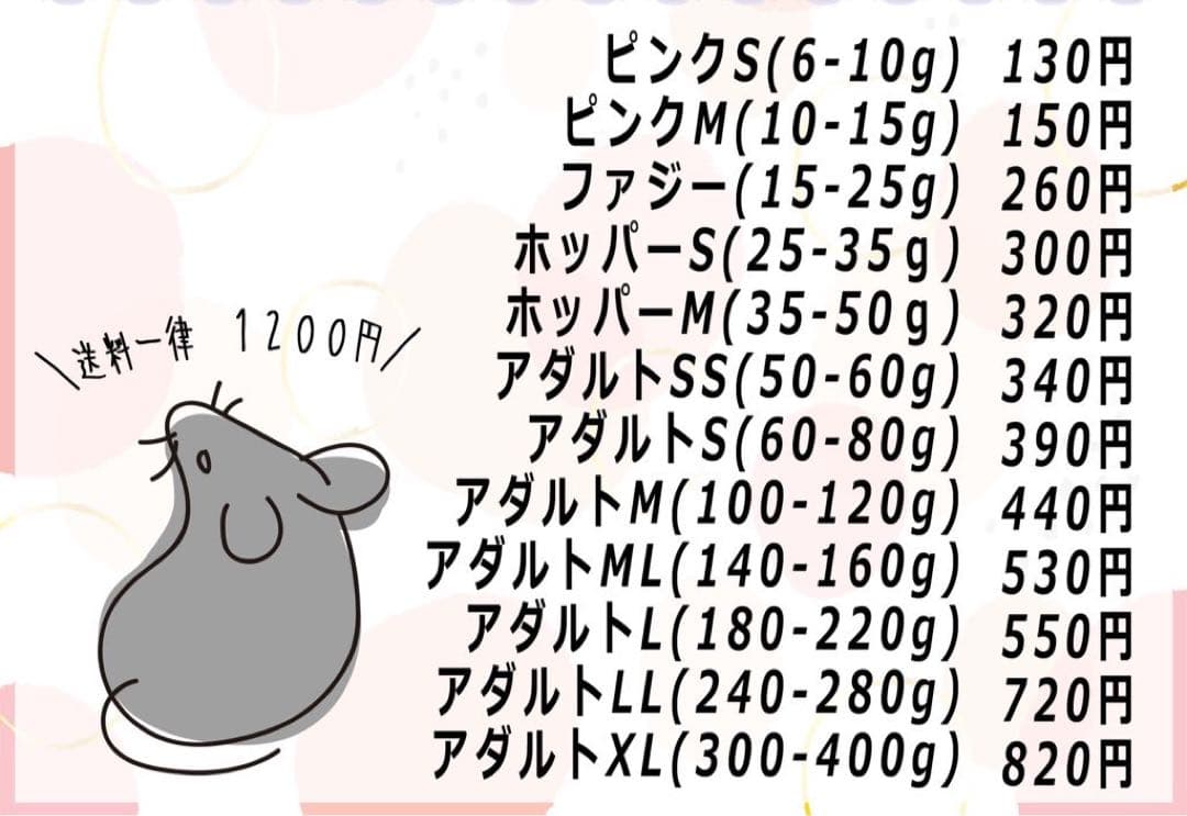 冷凍ラット 在庫確認・予約フォーム