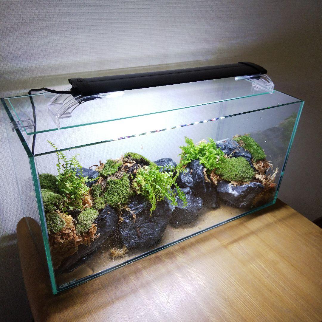 もじのすけページ