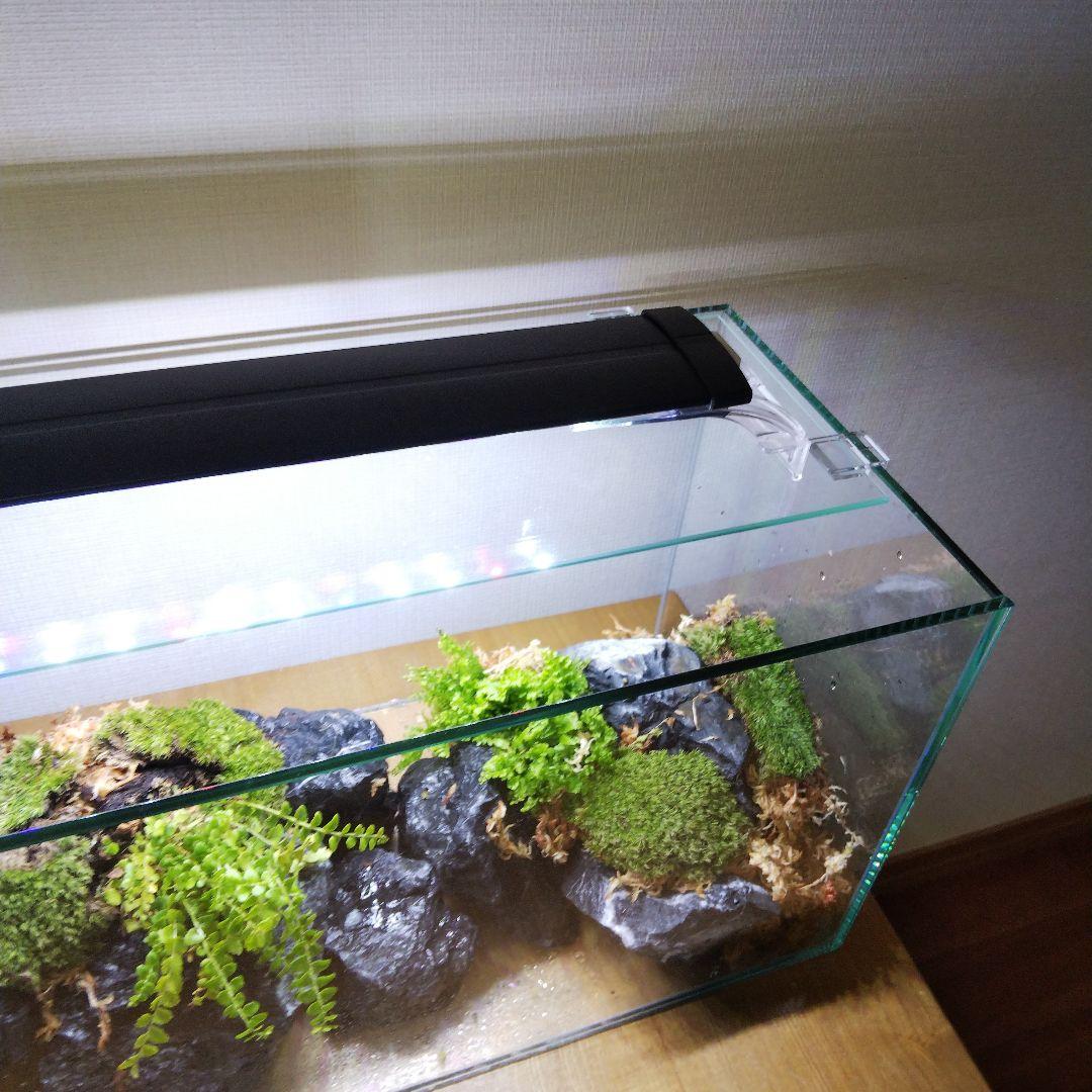 もじのすけページ