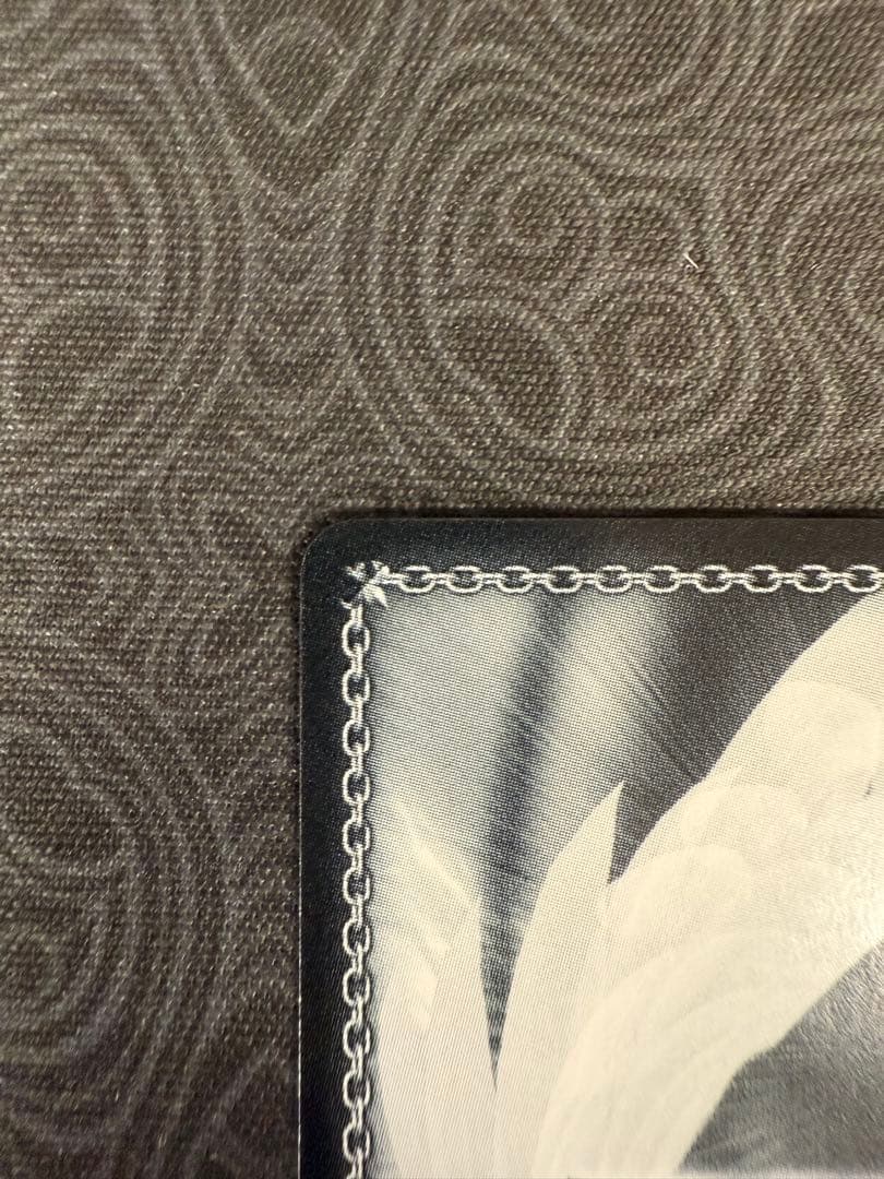 友だちと一緒なら！ ナガ SP サイン ヴァイスシュヴァルツ