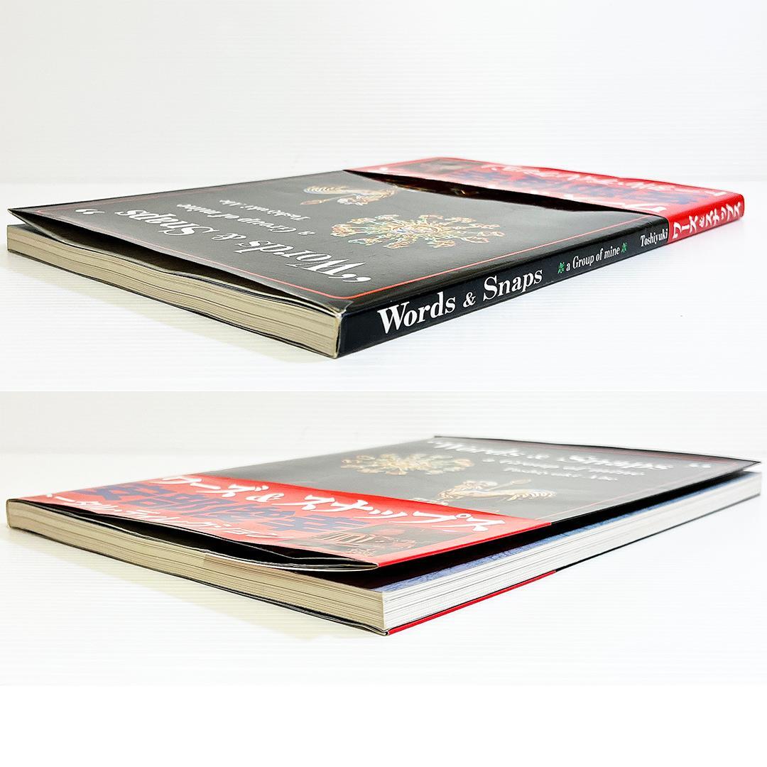 レア本！【安部俊幸（THE ALWAYS・TULIP）｜ワーズ＆スナップス】