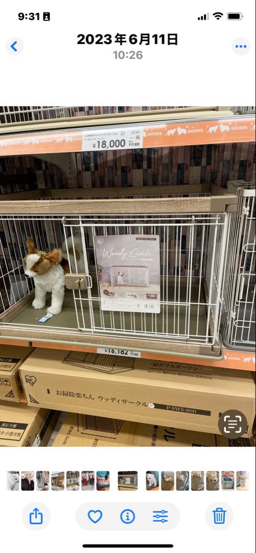 犬用ケージ スライド式扉 97.5×66.5×55.5 cmフードおまけ付き♡