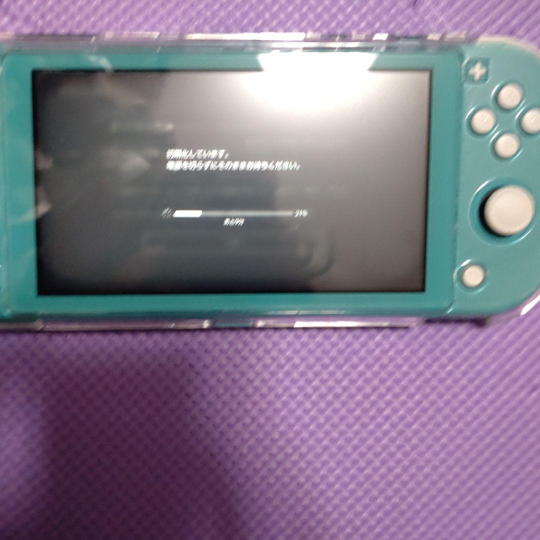 ニンテンドースイッチライト(非正規コントローラー付き)