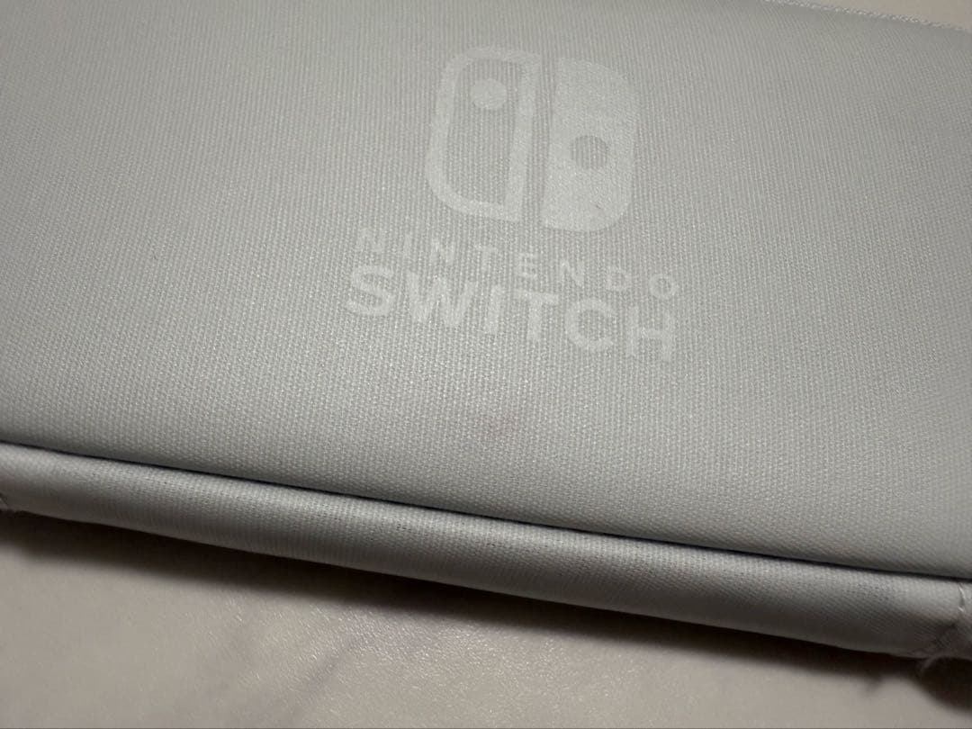 スイッチライト ジャンク品