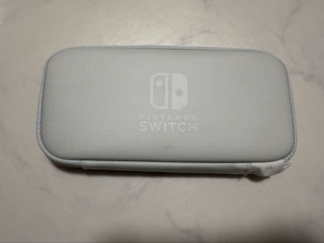 スイッチライト ジャンク品