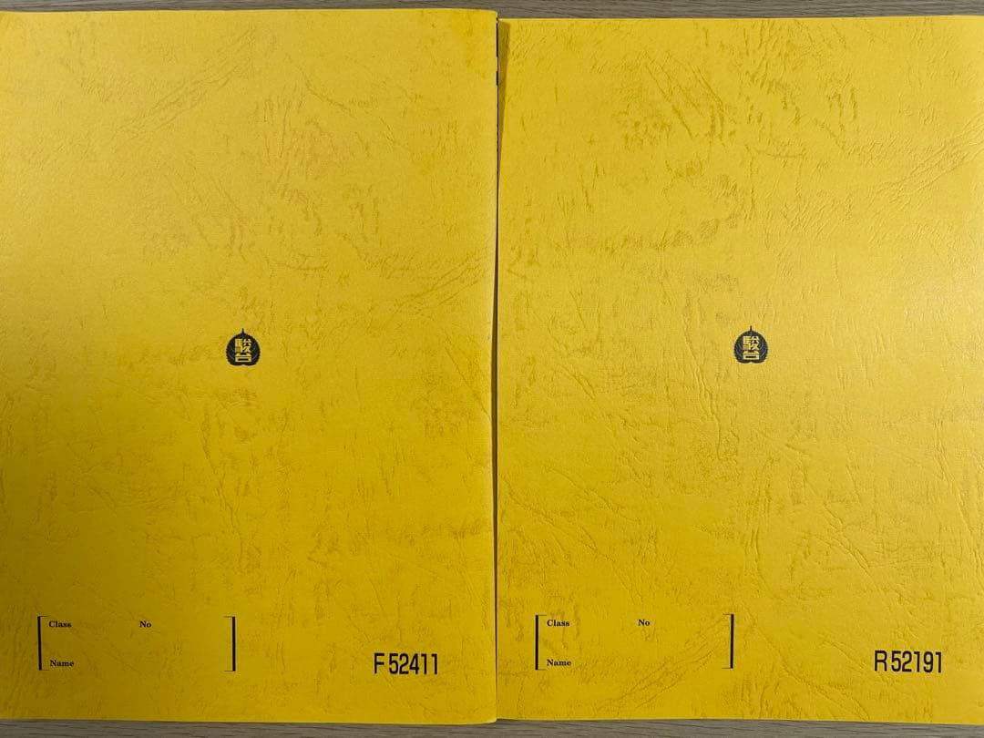 駿台早慶大世界史演習