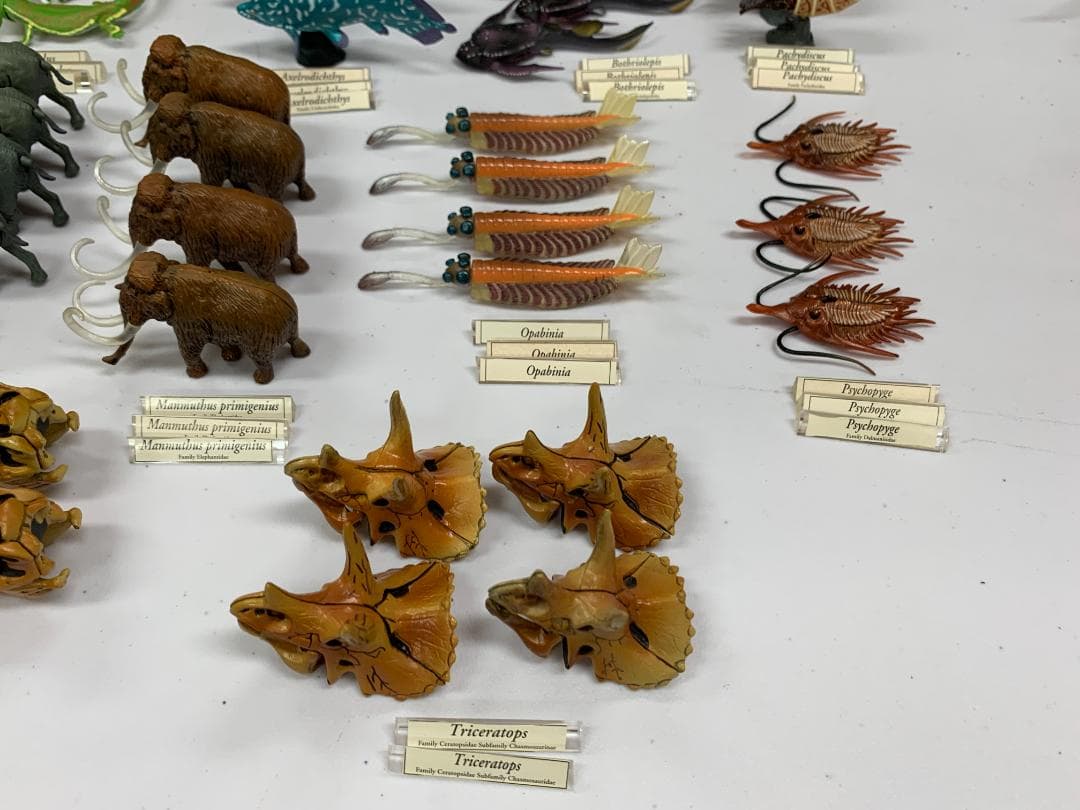 チョコラザウルス 第1、第2、第3、第4、リペイントシリーズ (262体)