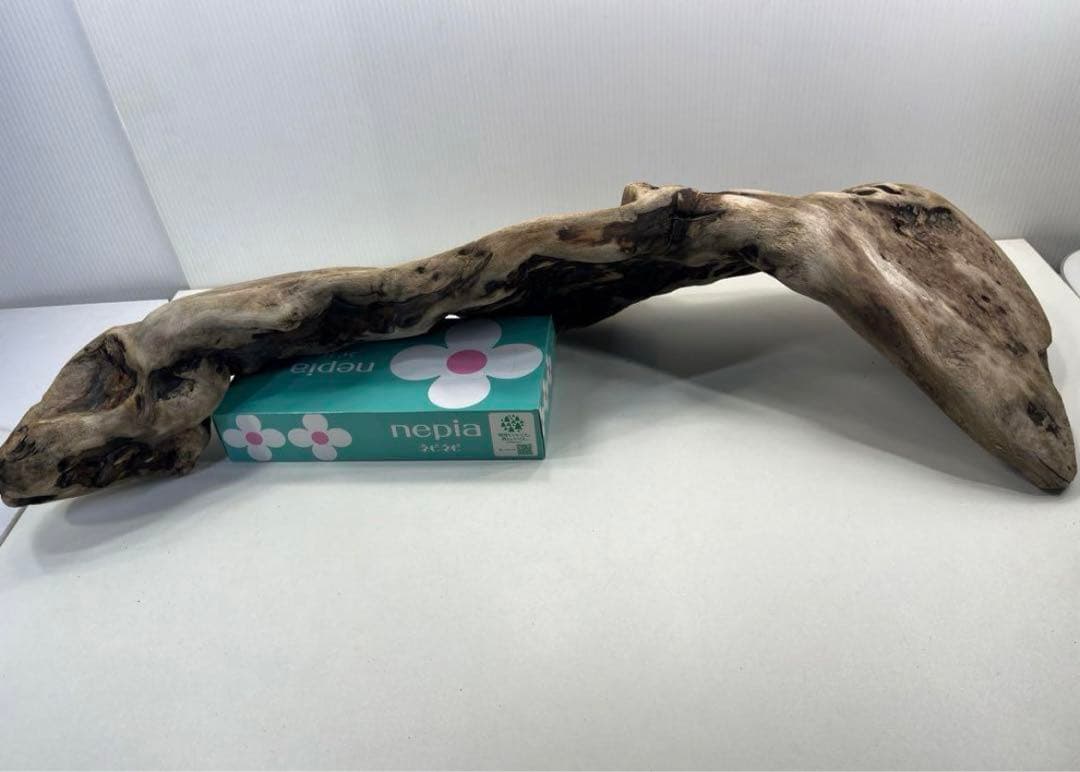 専用品 大型流木 アク抜き済み