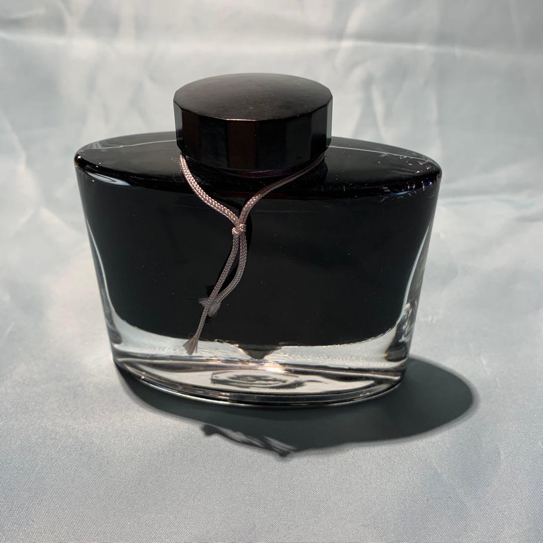 PILOT 万年筆 エラボー 極細字軟SEF FE-25SR-BSEF