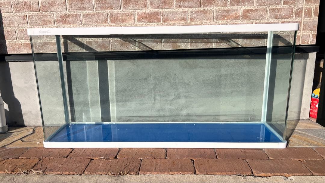 引き取り限定 大きなガラス水槽 青色底面 白色フレーム 1200×570×300