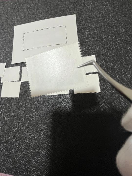 【極美品】中国郵政 雲南のツバキ 雲南山茶花 10種完＋小型シート 1979