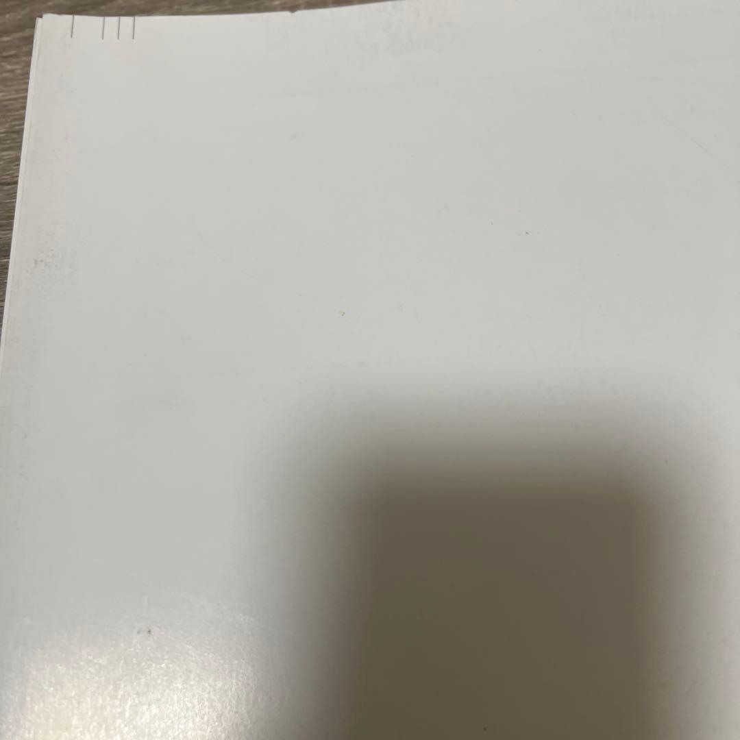 1/18限り値下げ　シェルドン　飛行の幻想