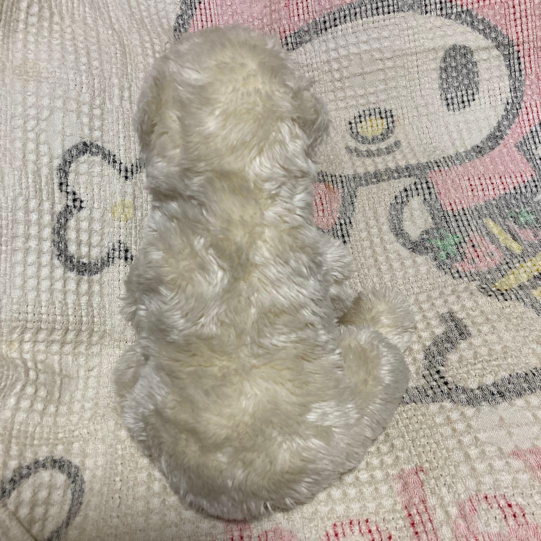 モンスイユ シロクマ ぬいぐるみ　中古品　MAY BLUE