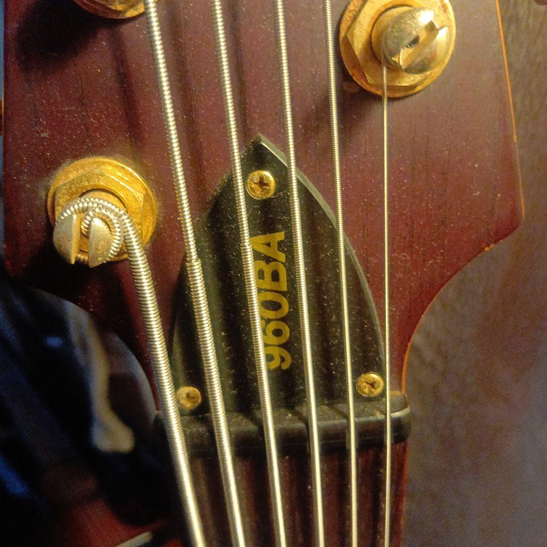 Vantage ベース 6弦 スルーネック